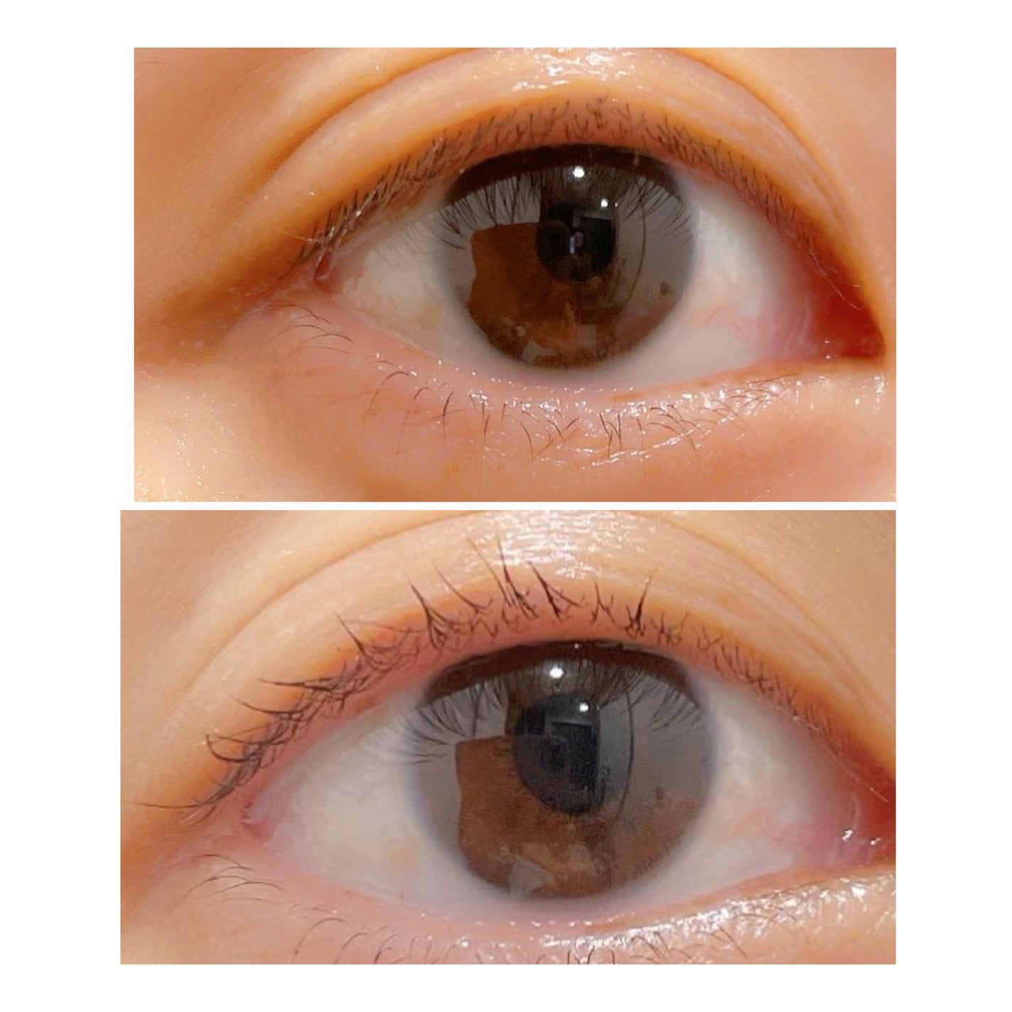 コスノリ アイラッシュティンティングセラム/COSNORI/まつげ美容液を使ったクチコミ(6枚目)