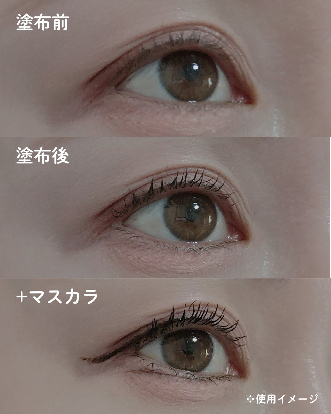 エテュセ アイエディション (マスカラベース)/ettusais/マスカラ下地を使ったクチコミ(3枚目)