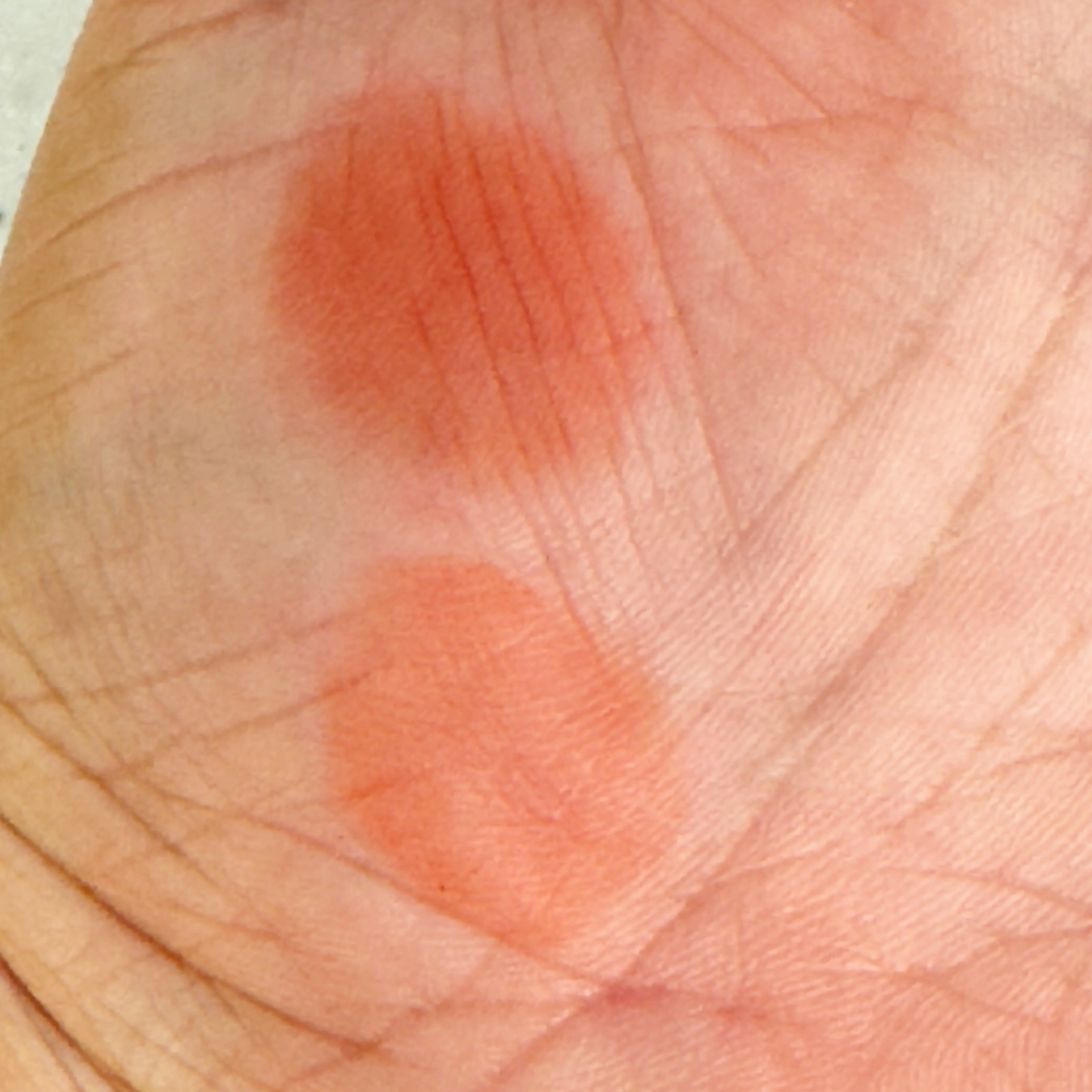 ウォーターグローリップティント/INGA/リップティントを使ったクチコミ（3枚目）