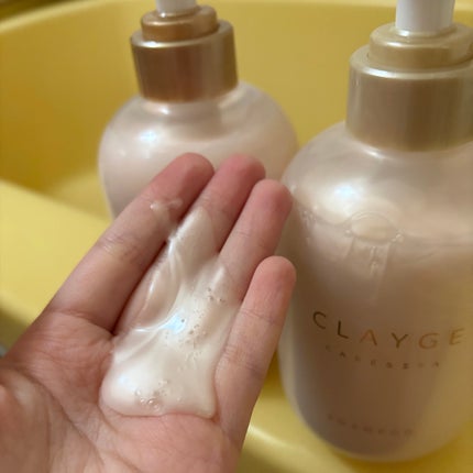 を使ったクチコミ(2枚目)