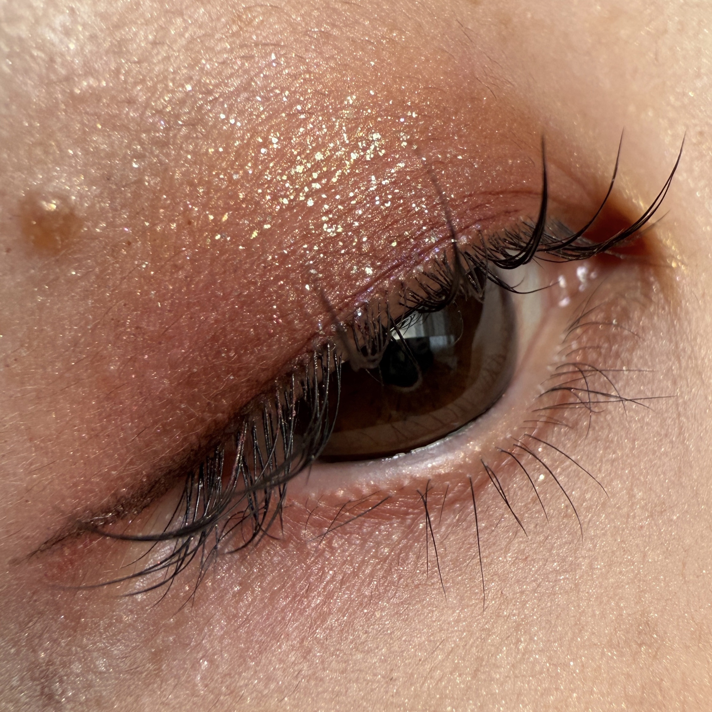 レ ベージュ パレット ルガール/CHANEL/アイシャドウパレットを使ったクチコミ（2枚目）