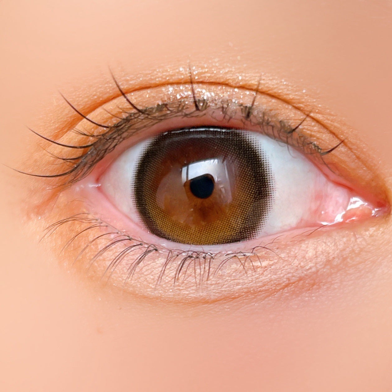 Mechu Mechu/Mechu Mechu /ワンデー(1DAY)カラコンを使ったクチコミ(2枚目)