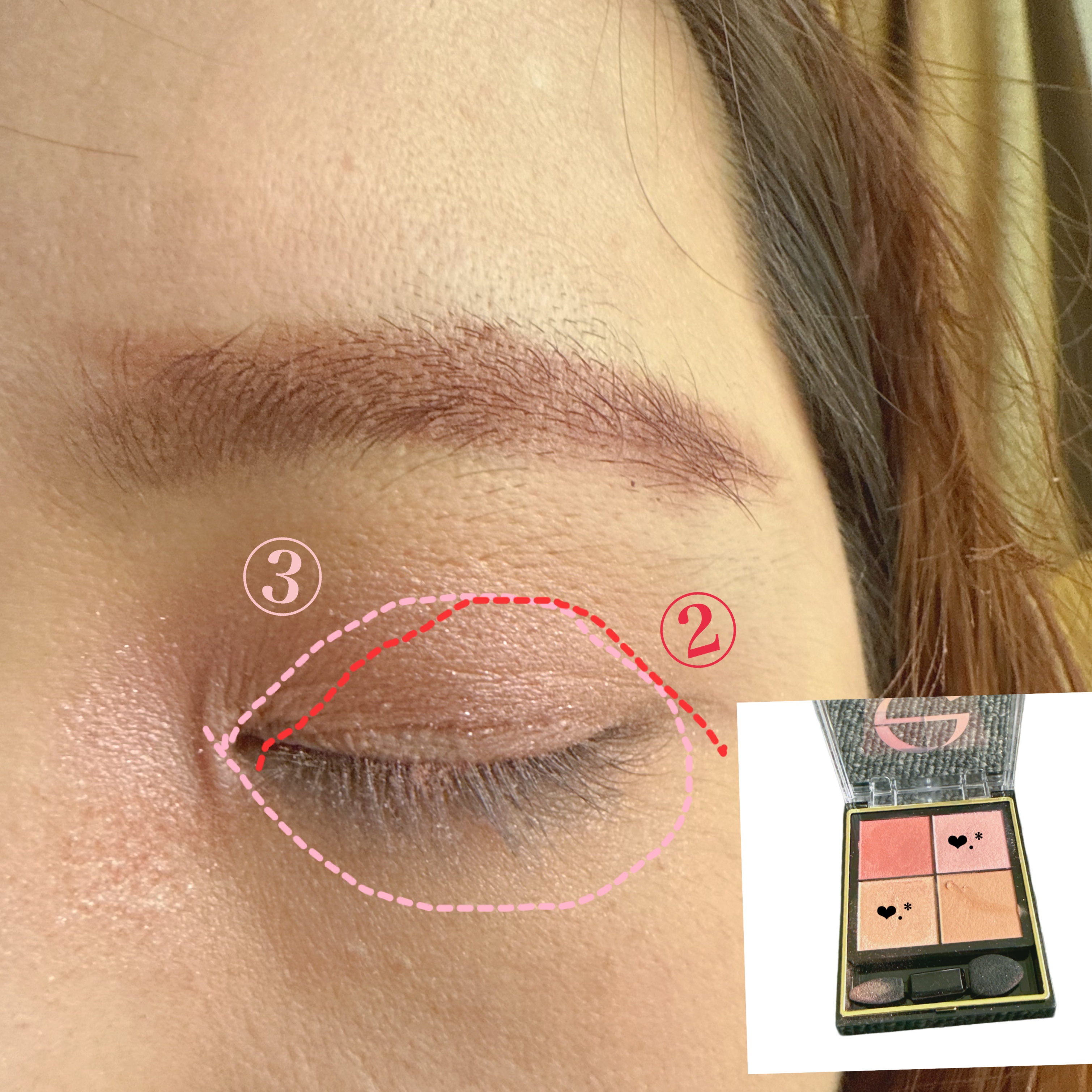 リアルクローズシャドウ/excel/アイシャドウパレットを使ったクチコミ（2枚目）