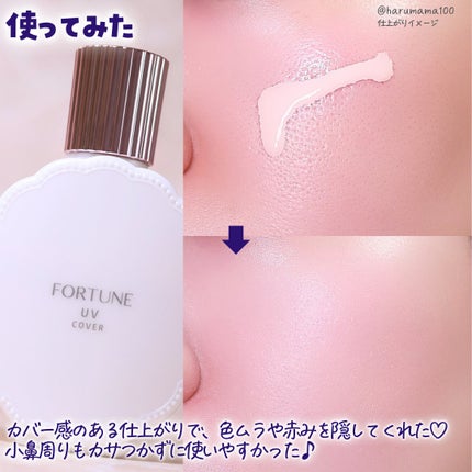 皮脂くずれ防止下地 UV(毛穴カバー)/フォーチュン/化粧下地を使ったクチコミ(5枚目)