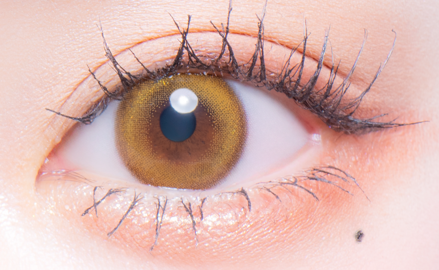 Flurry by colors 1day リングイエローゴールド(華麗なキツネ)