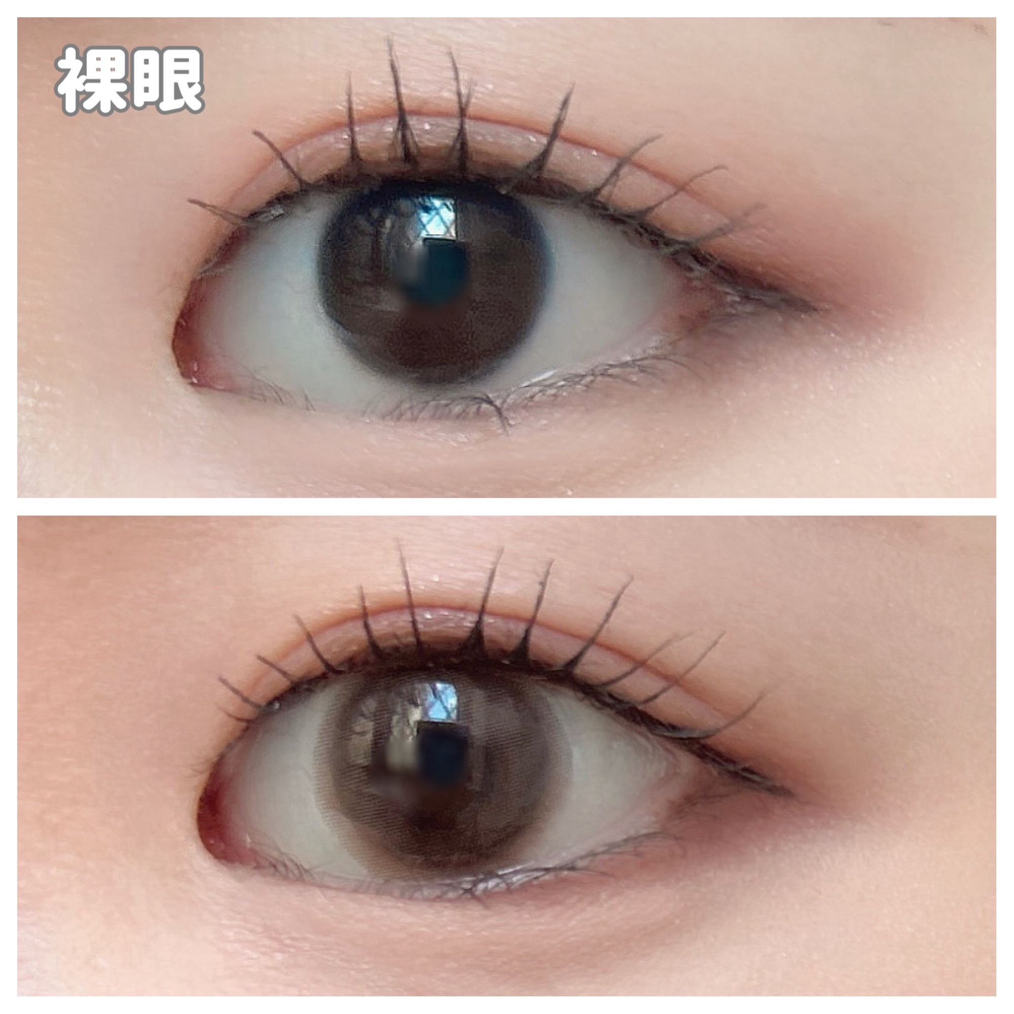 feliamo 1day/feliamo/ワンデー（１DAY）カラコンを使ったクチコミ（3枚目）