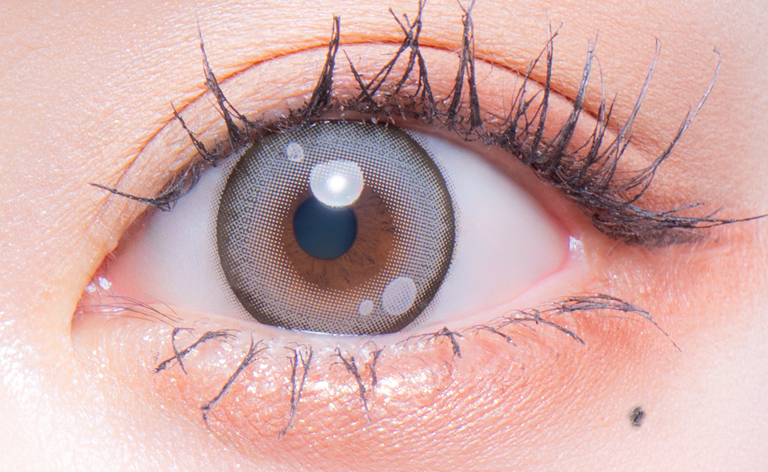 Flurry Monthly 黒蜜ぷりん