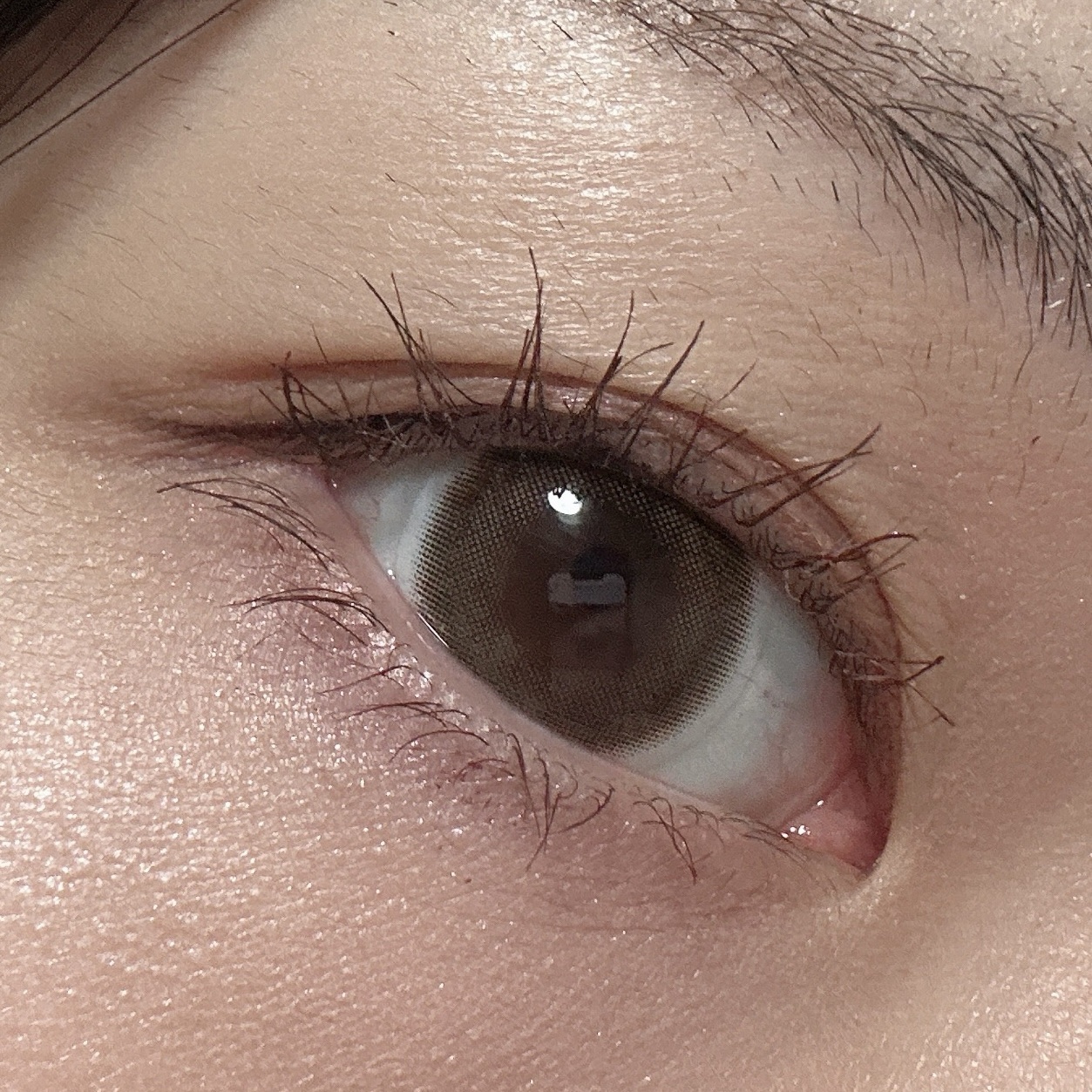 アイカラーレーション/LUNASOL/アイシャドウパレットを使ったクチコミ（2枚目）