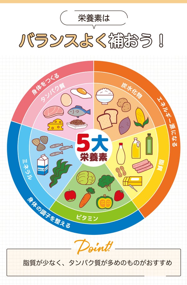 栄養素はバランスよく補おう!5大栄養素は身体をつくるタンパク質、身体の調子を整えるビタミン・ミネラル、エネルギー源になる炭水化物・脂質。脂質が少なく、タンパク質が多めのものがおすすめ。