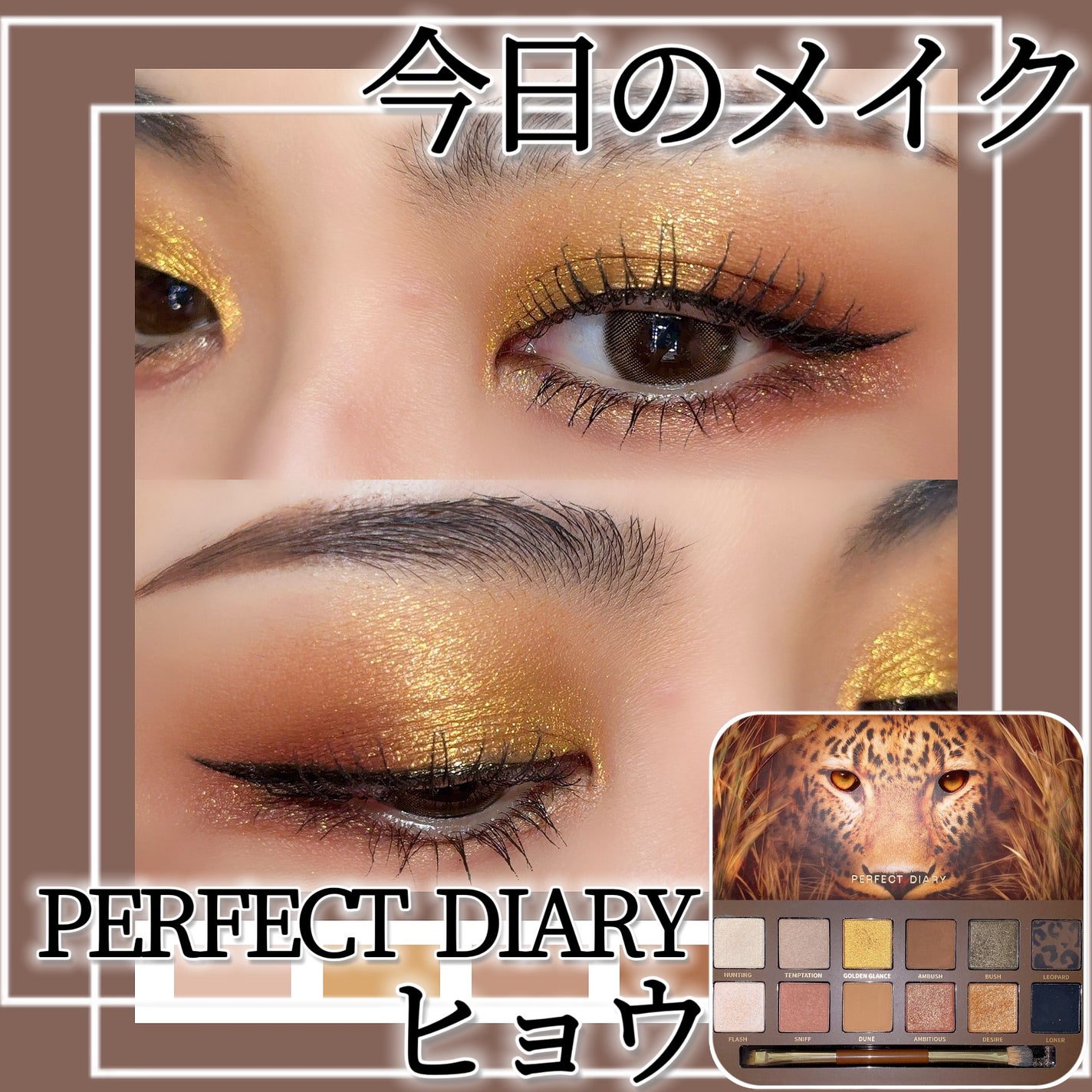 エクスプローラ12色 動物アイシャドウパレット/PERFECT DIARY/アイシャドウパレットを使ったクチコミ(1枚目)