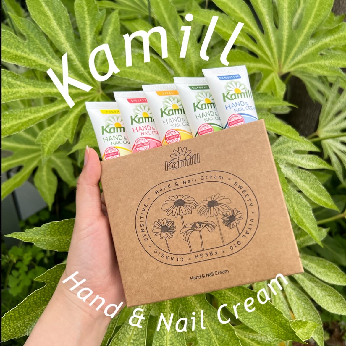 ハンド＆ネイルクリームミニ 企画セット30ml*5/カミール/その他キットセットを使ったクチコミ（1枚目）
