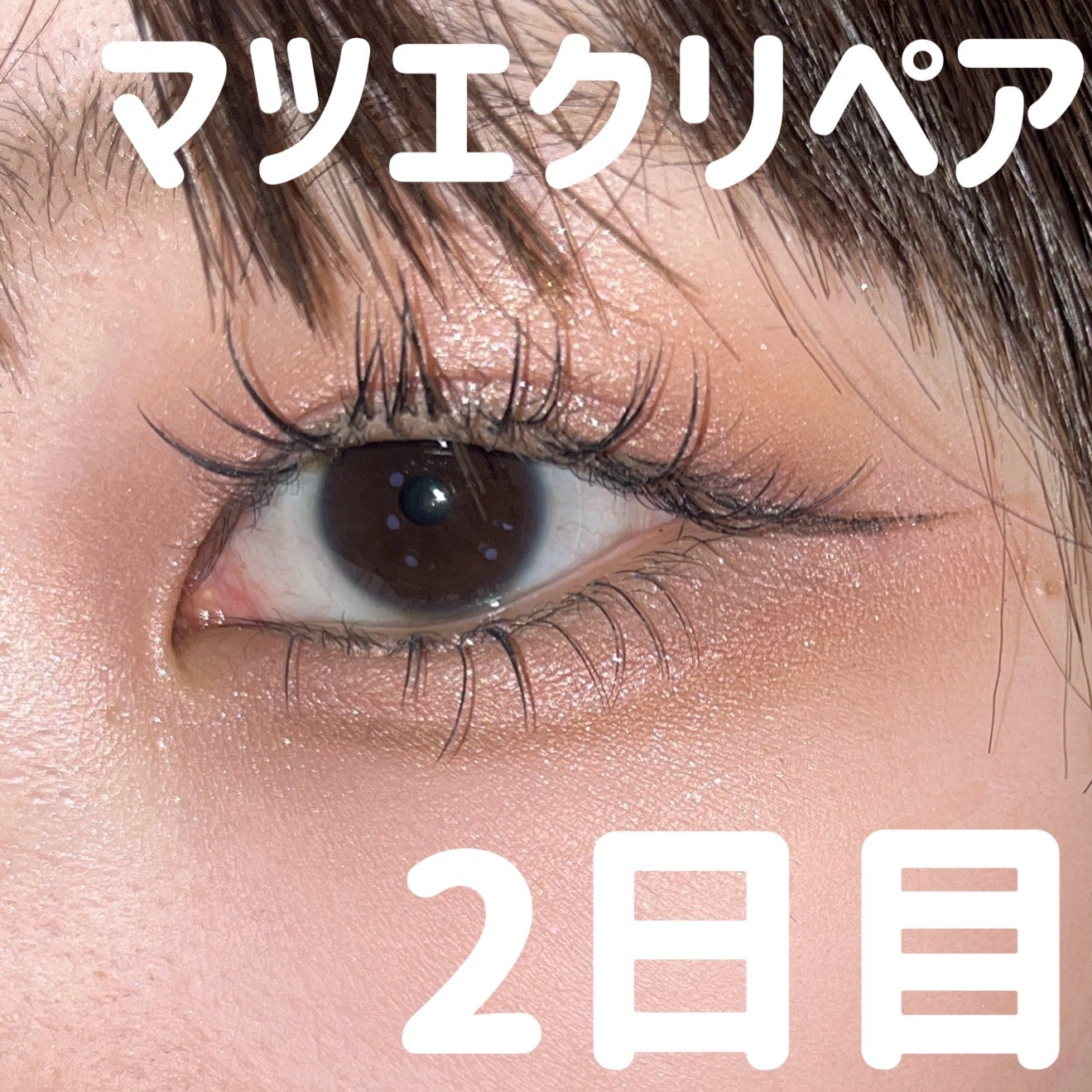 シャドウパレット/dasique/アイシャドウパレットを使ったクチコミ（1枚目）