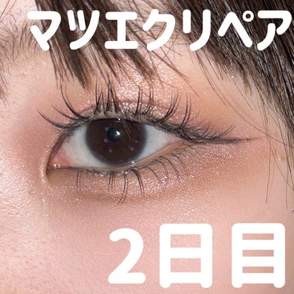 シャドウパレット/dasique/アイシャドウパレットを使ったクチコミ(1枚目)