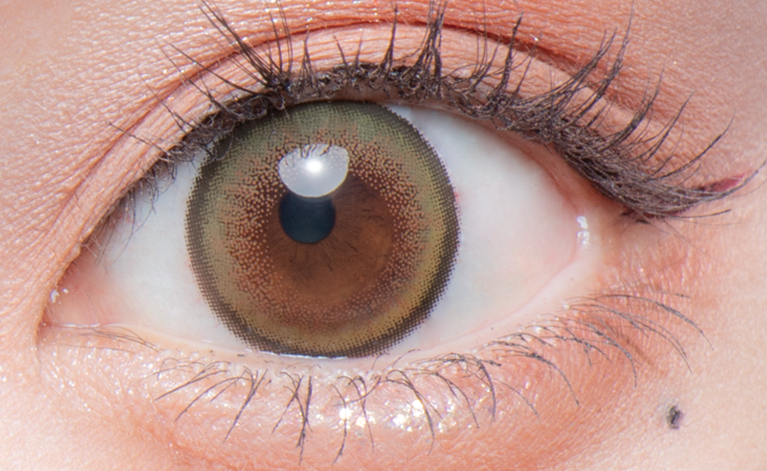 Flurry Monthly ライトカーキブラウン(もっと褒められパンダ)