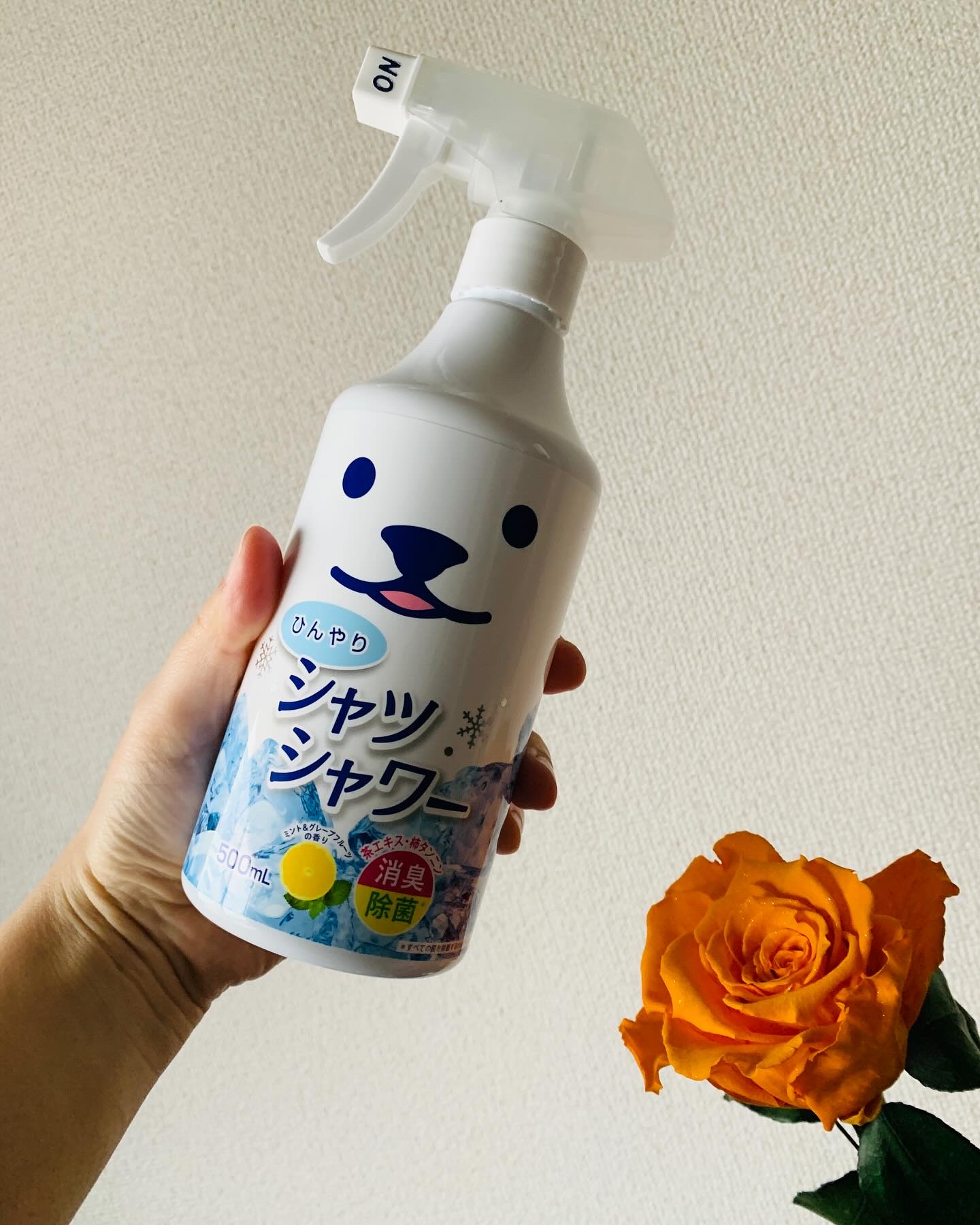 ひんやりシャツシャワー ミント&グレープフルーツの香り/ときわ商会/デオドラント・制汗剤を使ったクチコミ（1枚目）