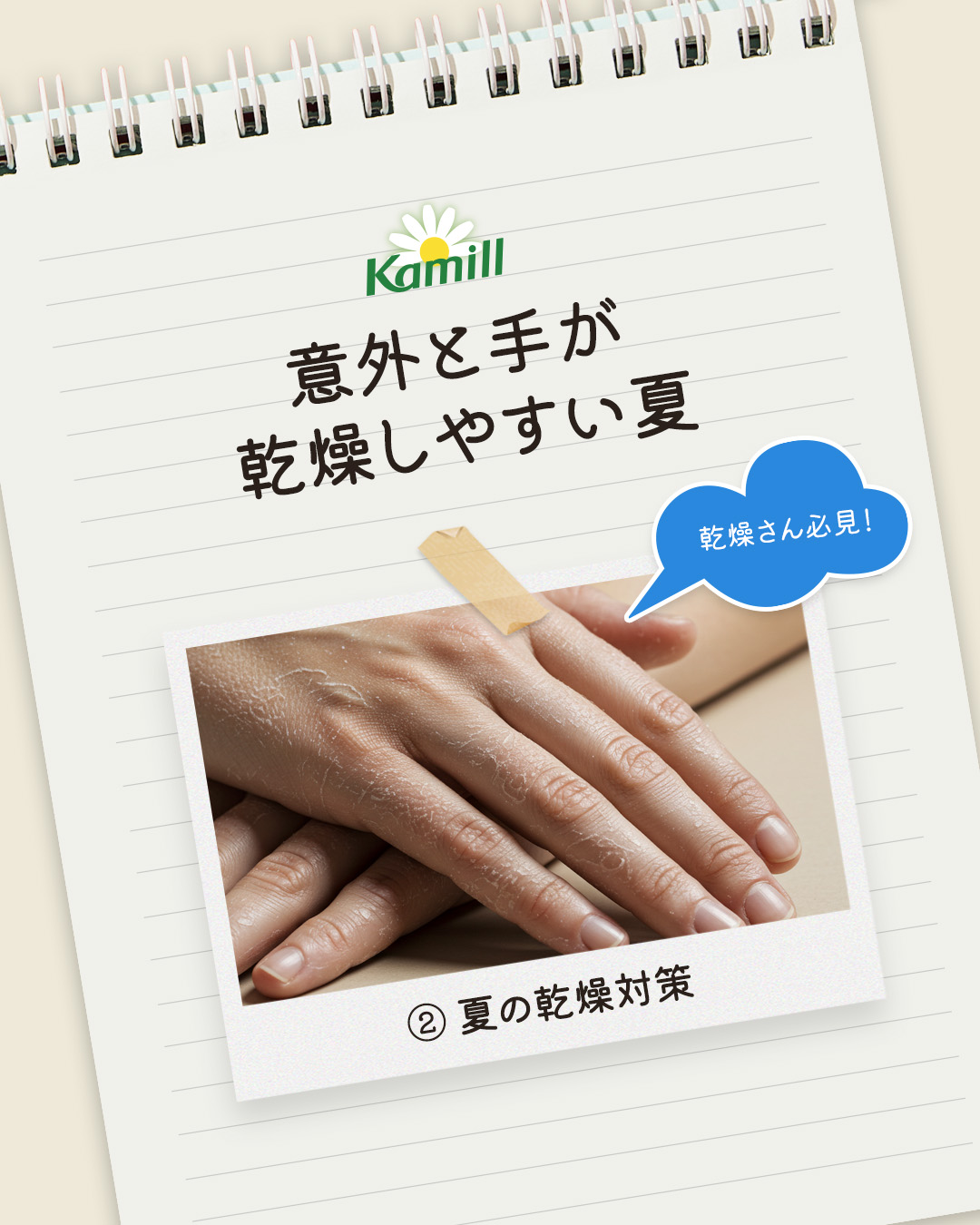 ハンド＆ネイルクリームミニ 企画セット30ml*5/カミール/その他キットセットを使ったクチコミ（1枚目）