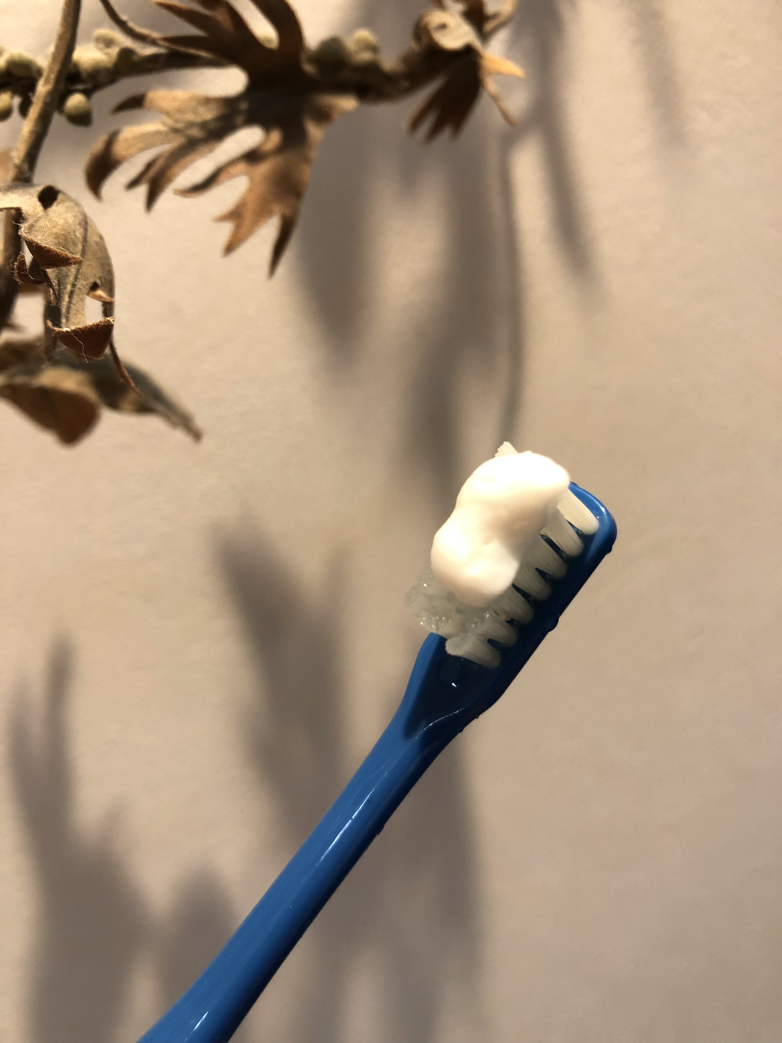 HaRENO 薬用ハミガキ/HaRENO/歯磨き粉を使ったクチコミ（3枚目）