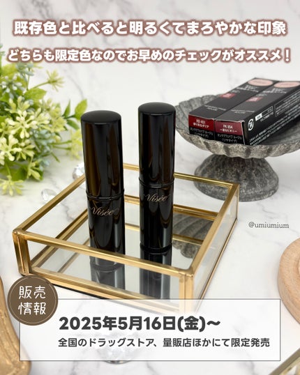 ネンマクフェイク ルージュ/Visée/口紅を使ったクチコミ(6枚目)