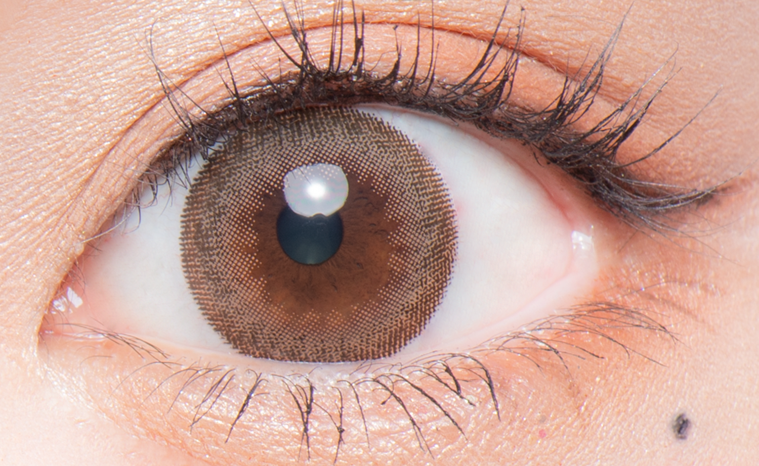 Flurry Monthly トゥンカロン