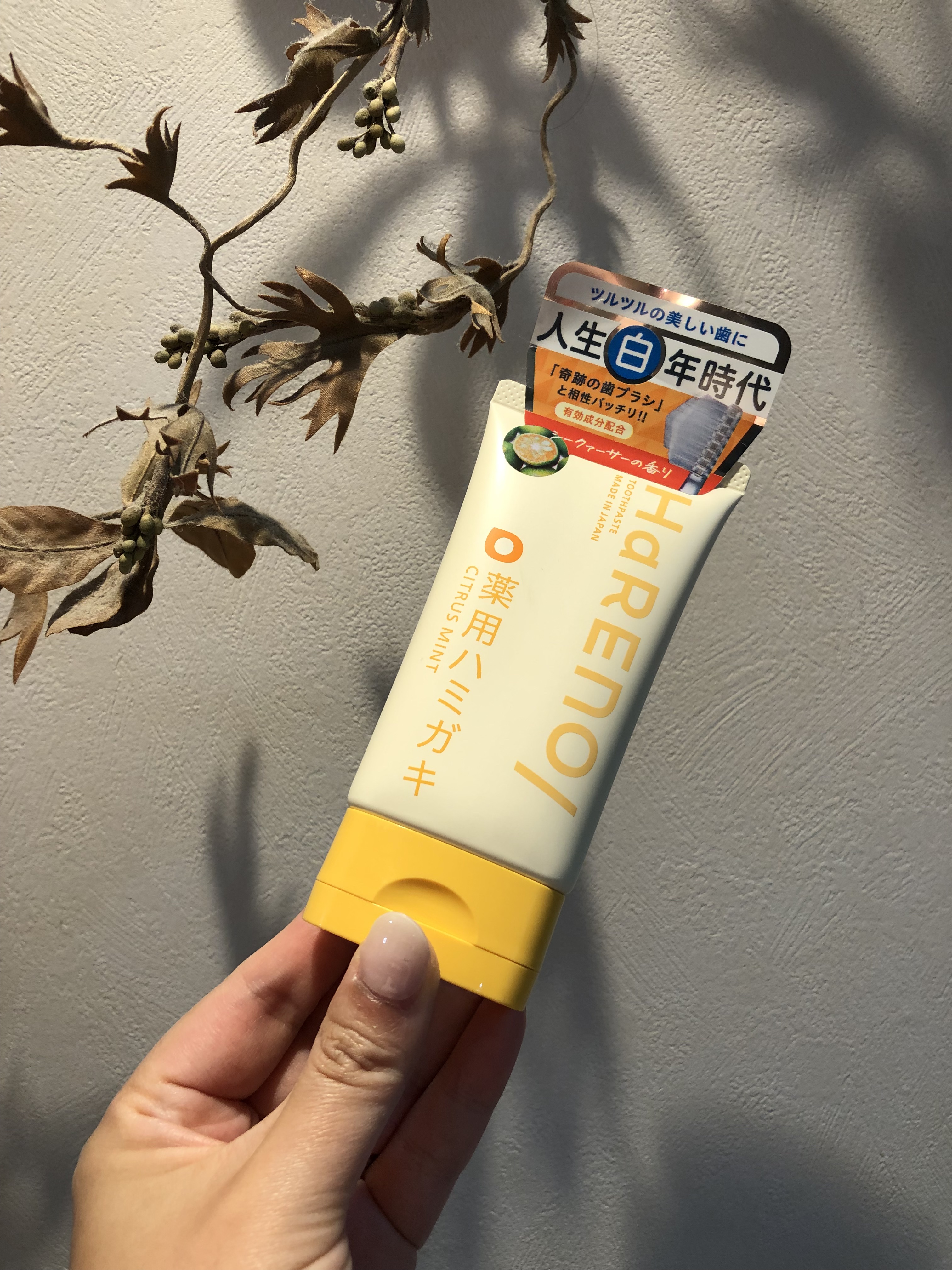 HaRENO 薬用ハミガキ/HaRENO/歯磨き粉を使ったクチコミ（1枚目）