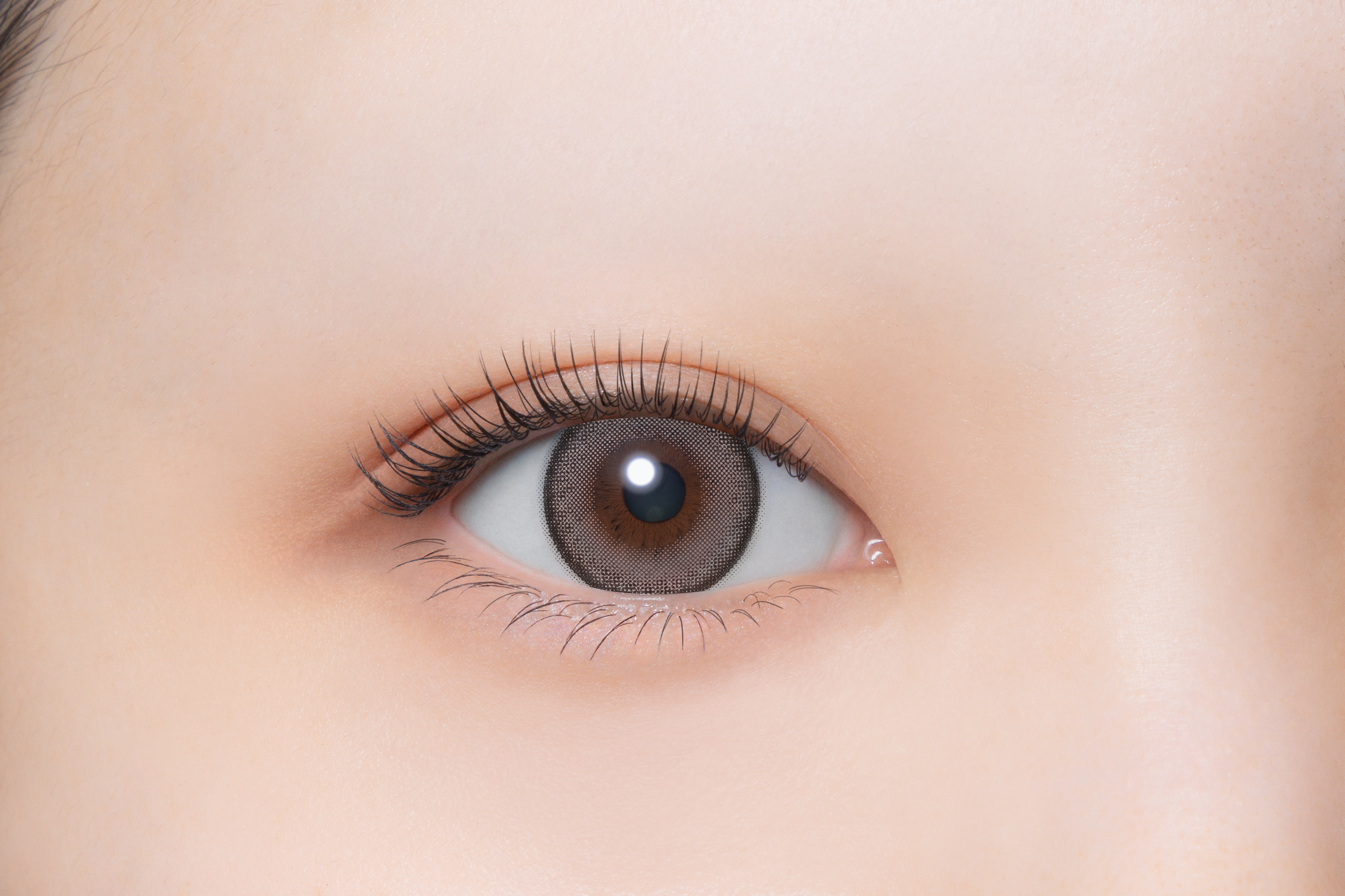 melloew 1day トリュフグレー