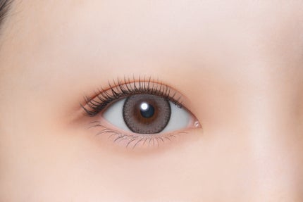 トリュフグレー