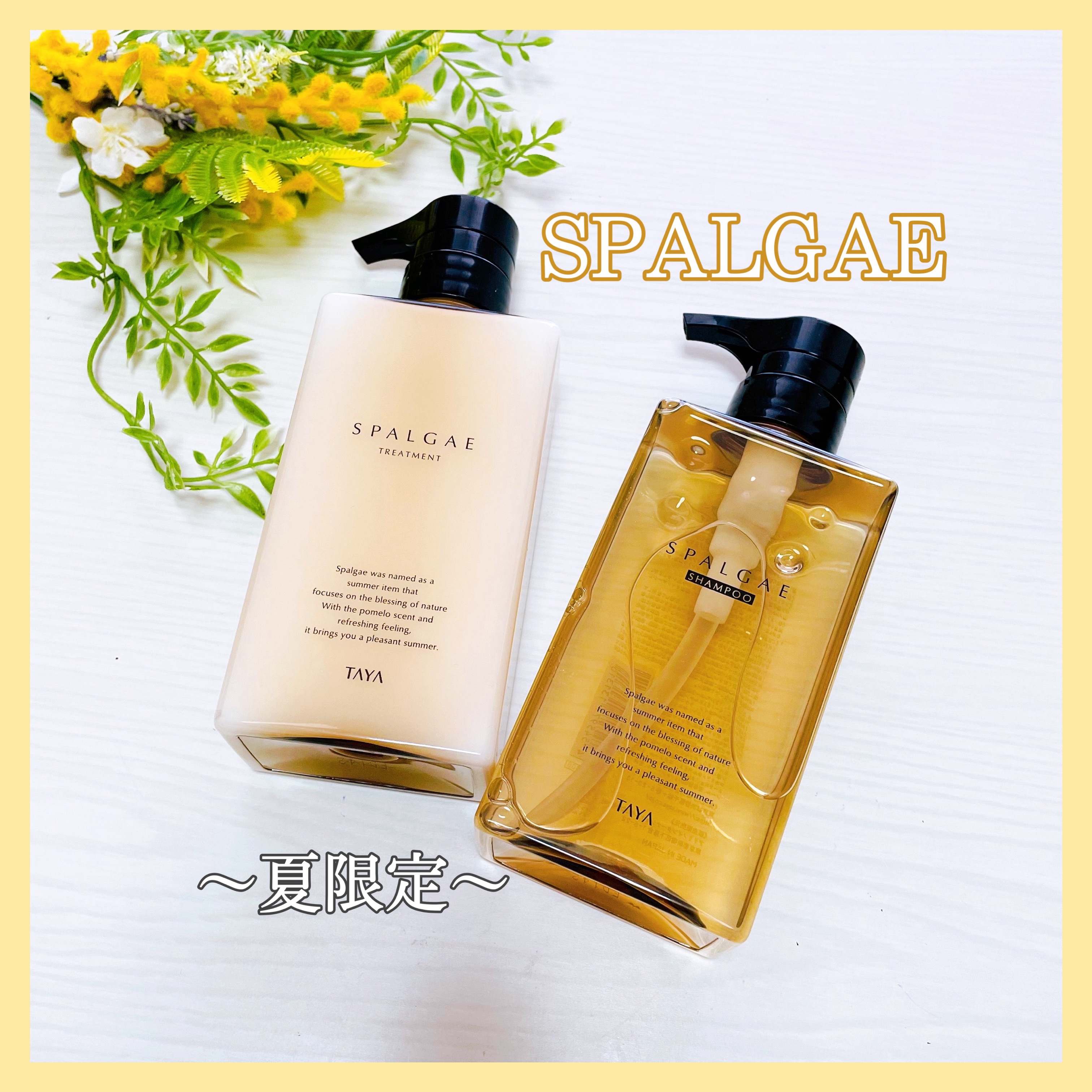 スパルゴ シャンプー/ヘアトリートメント/TAYA/市販シャンプーを使ったクチコミ（1枚目）