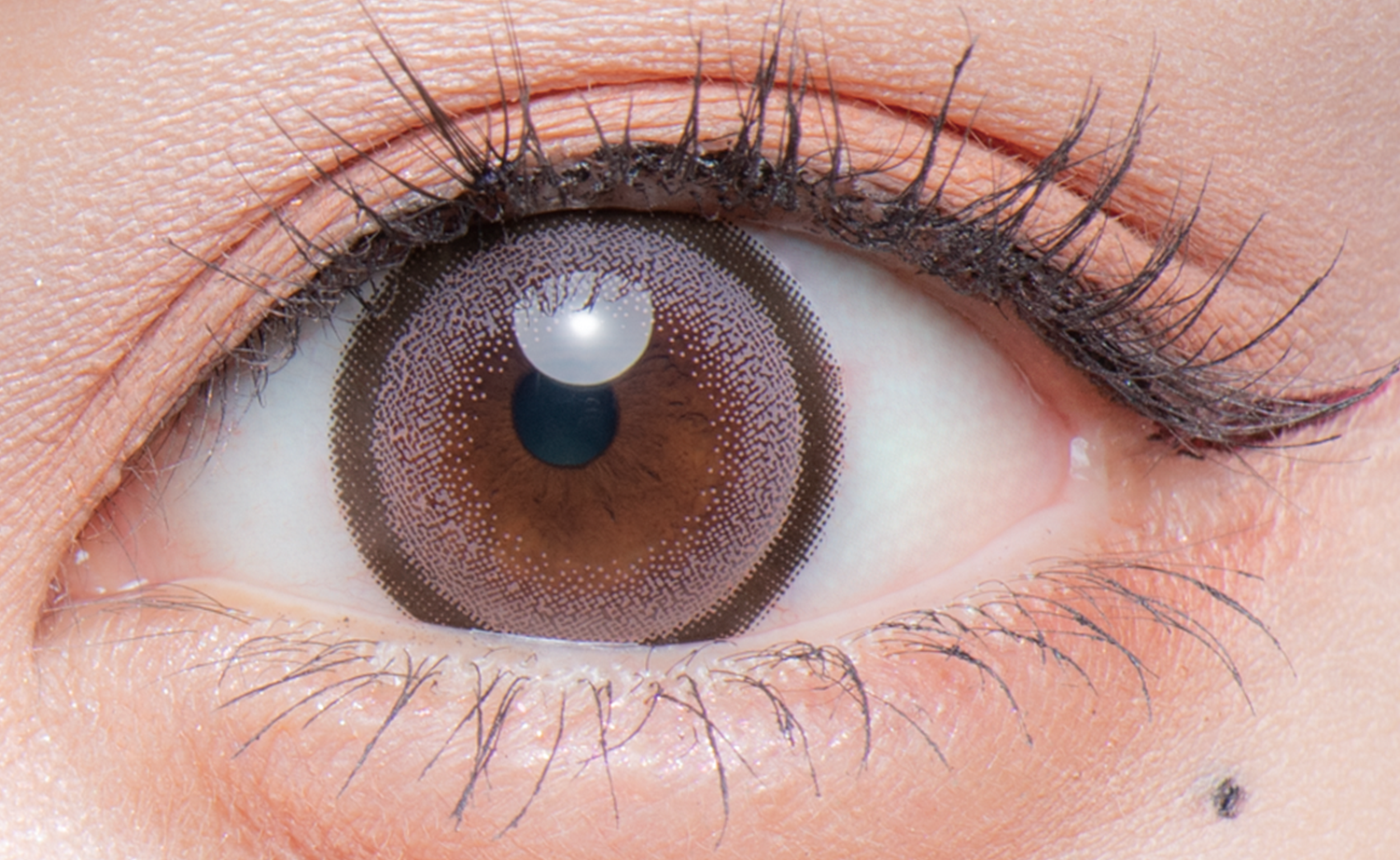 Flurry Monthly リングピンクブラウン(もっと愛されウサギ)