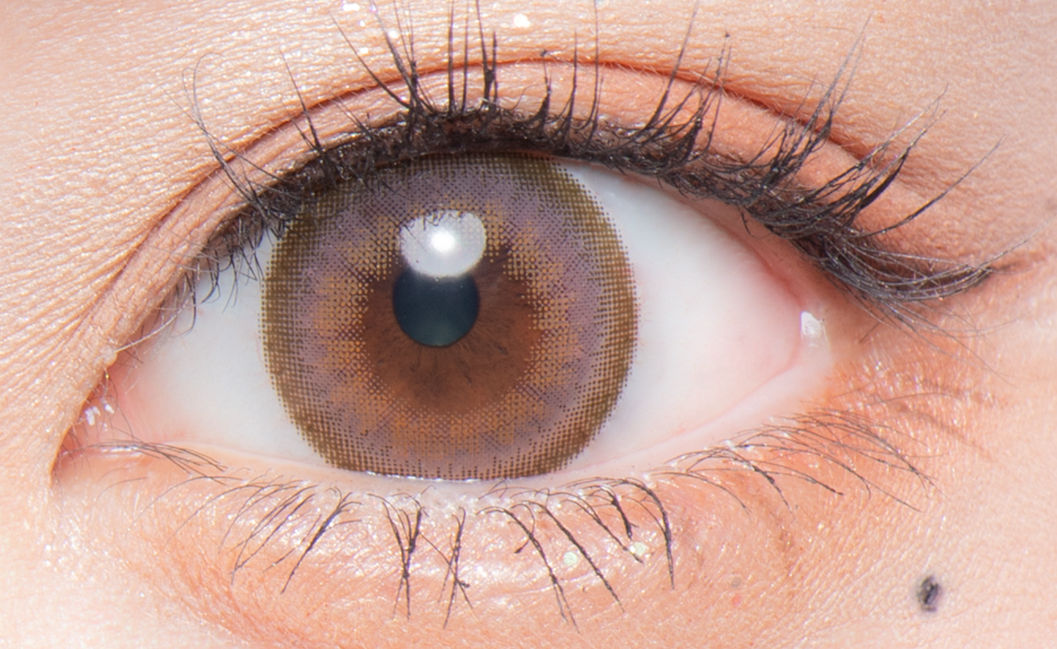 Flurry Monthly スイカソーダ