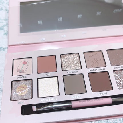 エクスプローラ12色 動物アイシャドウパレット/PERFECT DIARY/アイシャドウパレットを使ったクチコミ(5枚目)