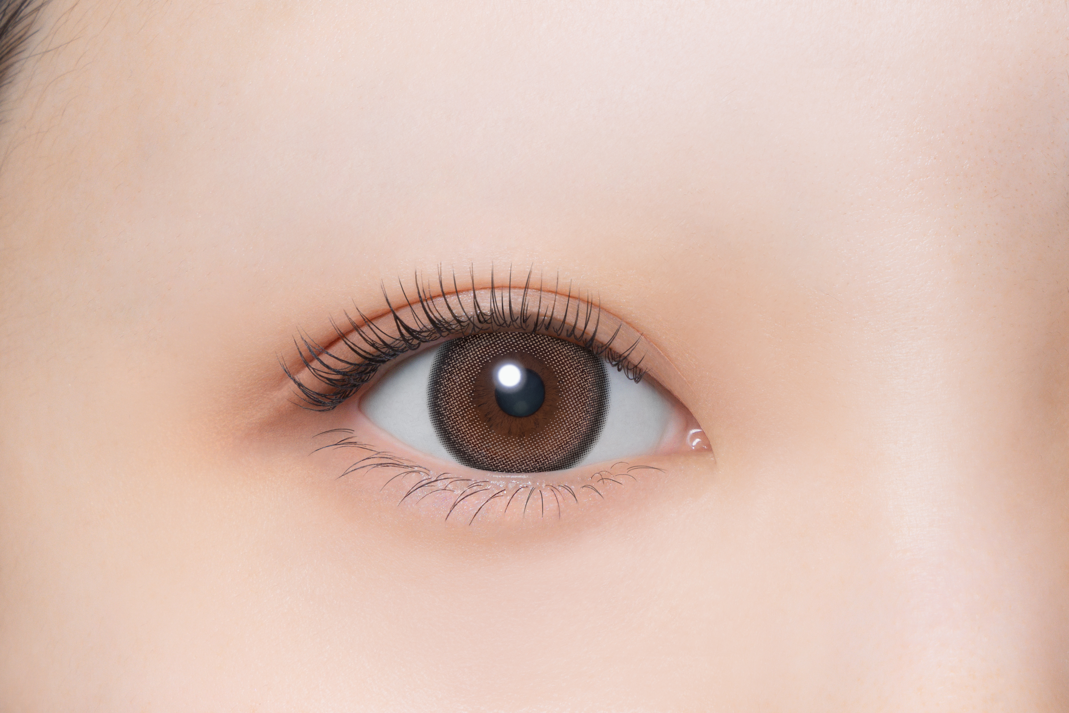 melloew 1day モカパウダー