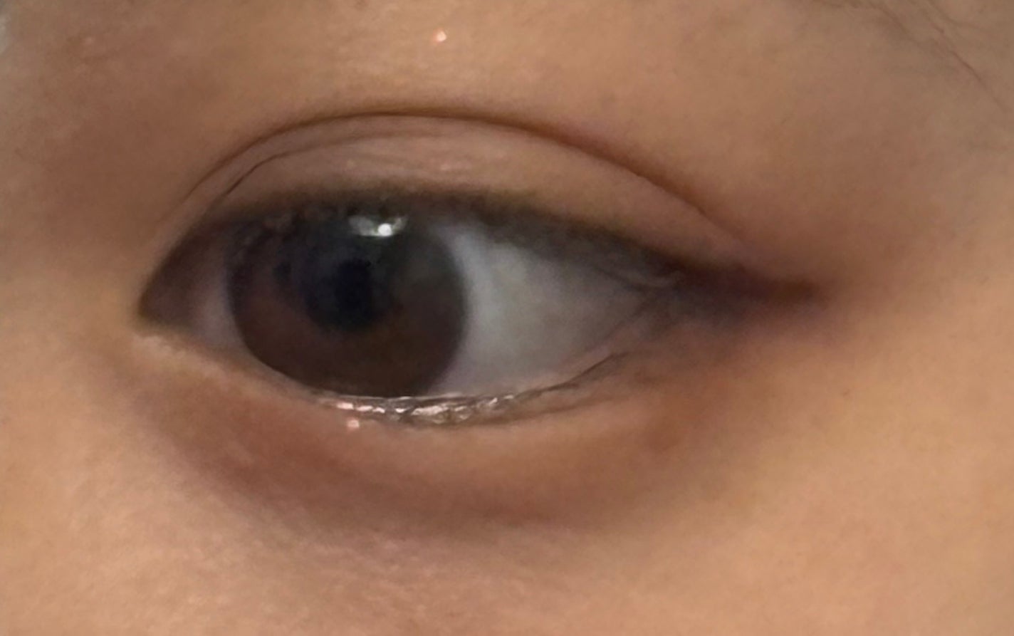 FLANMY 1day/FLANMY/ワンデー(1DAY)カラコンを使ったクチコミ(1枚目)