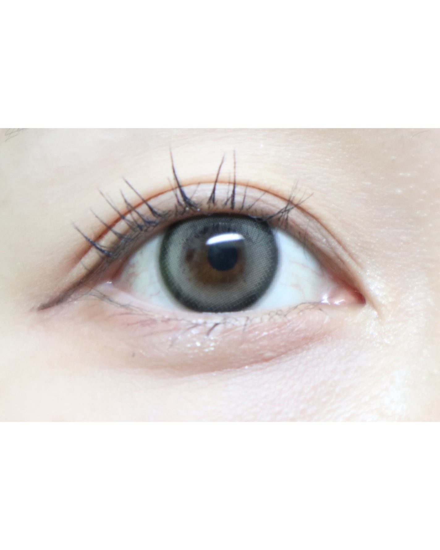 Mechu Mechu/Mechu Mechu /ワンデー(1DAY)カラコンを使ったクチコミ(4枚目)