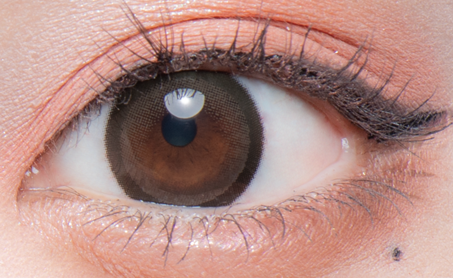 Flurry Monthly リングダークブラウン(もっとキマグレネコ)