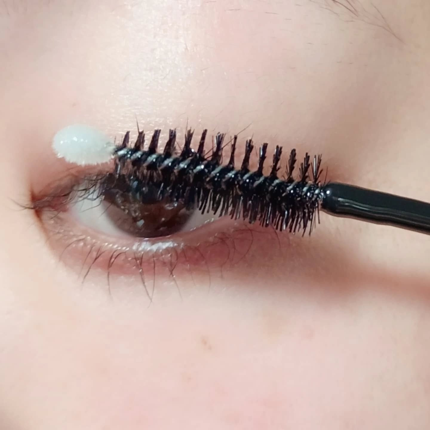 グランウィーユGINZAwithミラボーテ まつ毛美容液/ミラボーテ/まつげ美容液を使ったクチコミ（3枚目）