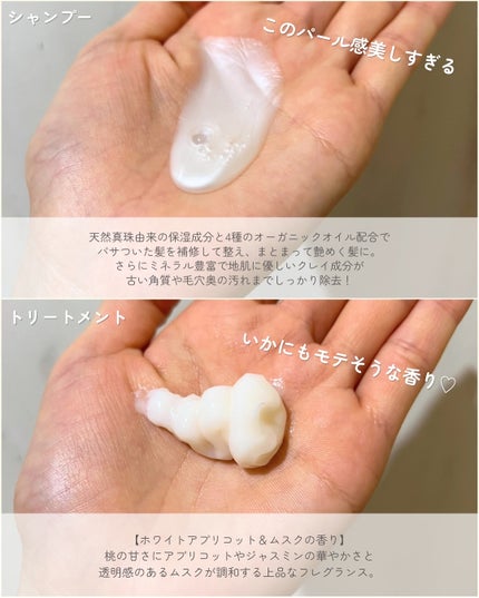 シャンプー/トリートメント パールシャイン(PS)/CLAYGE/市販シャンプーを使ったクチコミ(3枚目)