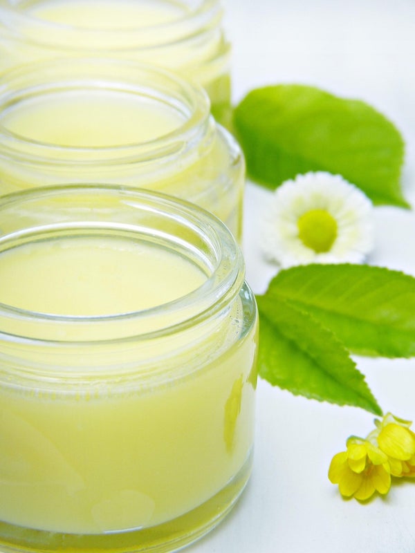 植物と容器に入った何か