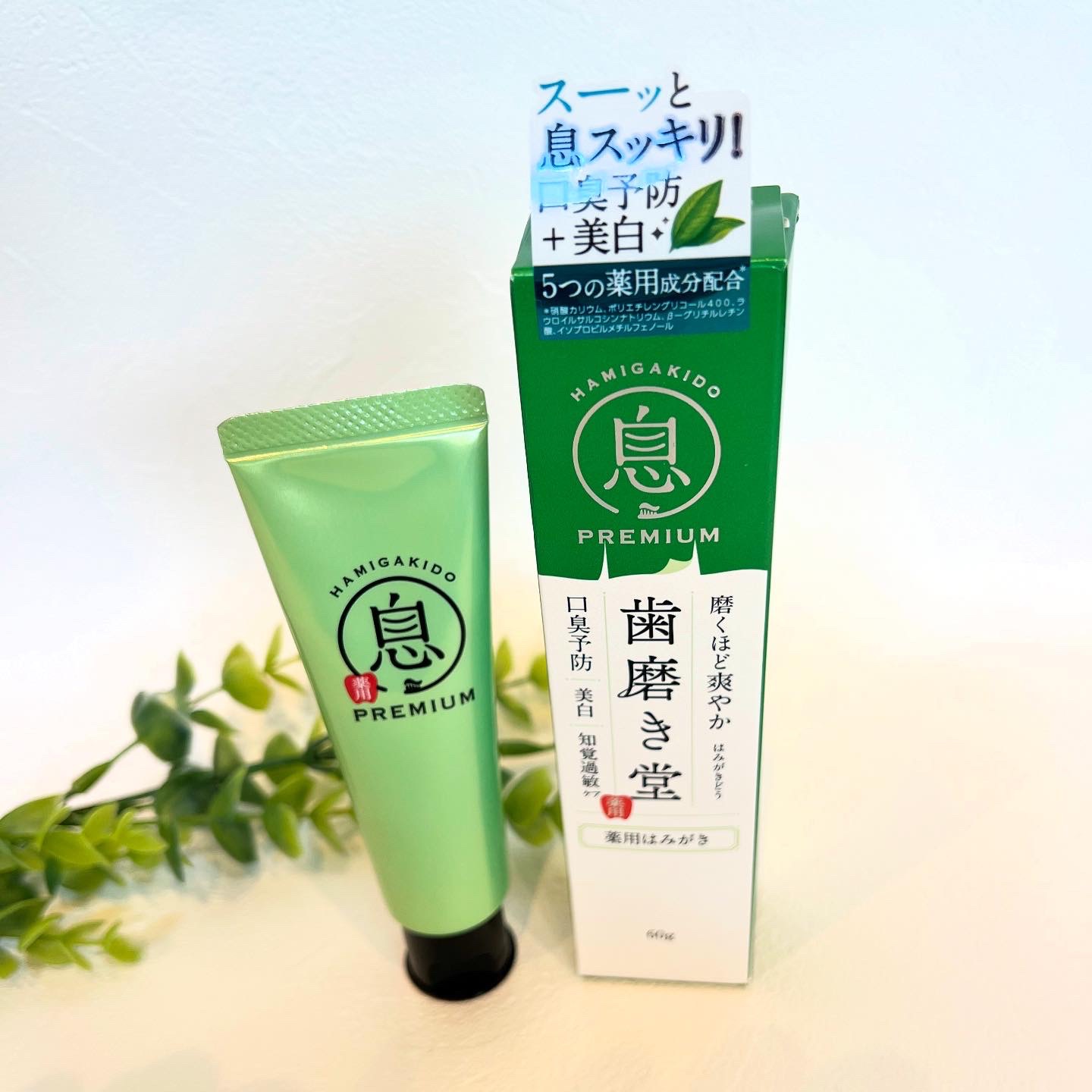 薬用フレッシュペースト【医薬部外品】/歯磨き堂/歯磨き粉を使ったクチコミ（2枚目）