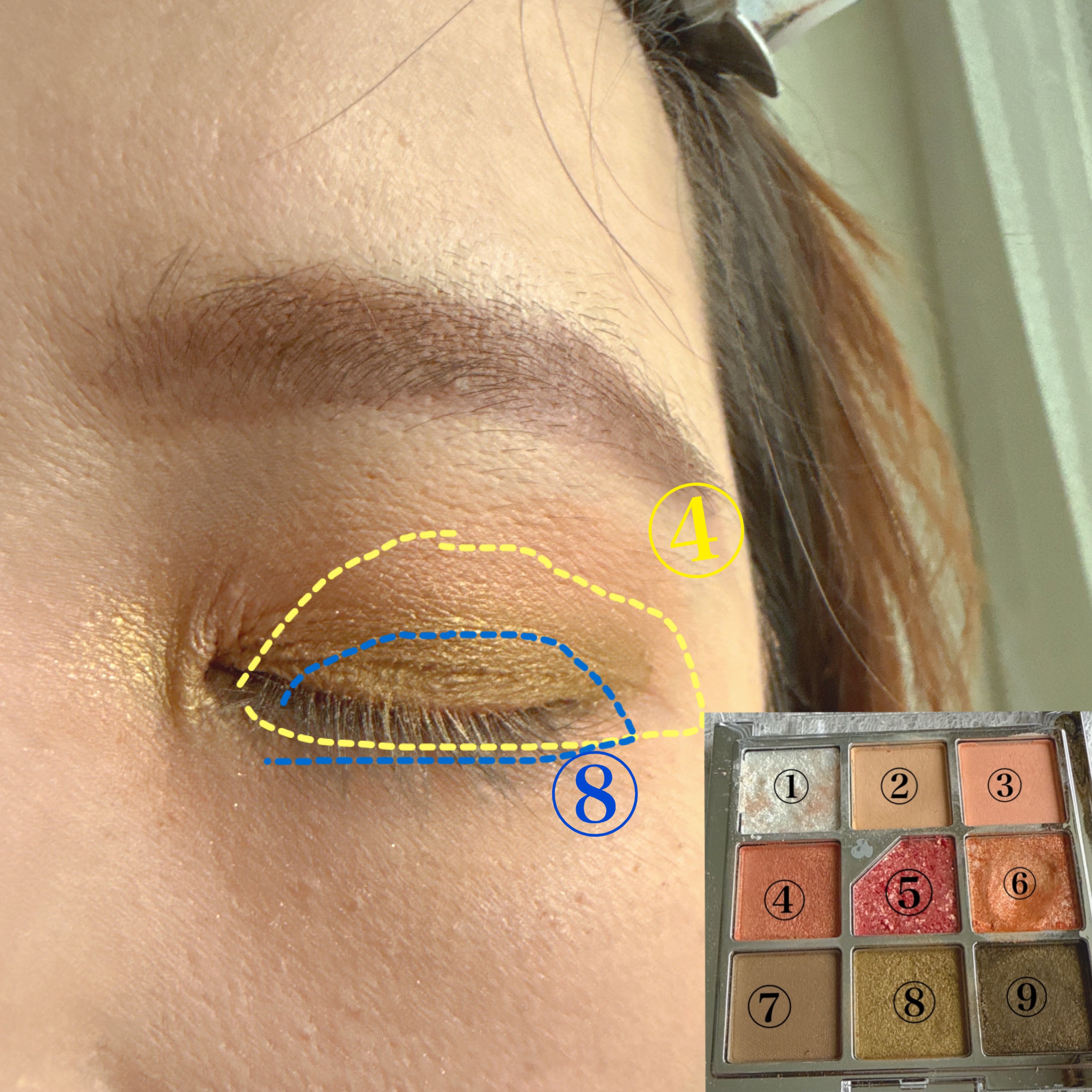 グリッターペディアアイパレット/unleashia/アイシャドウパレットを使ったクチコミ（3枚目）