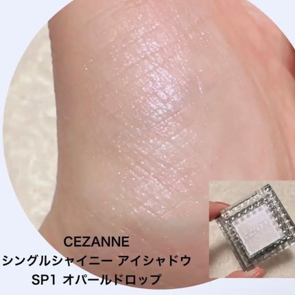 シングルカラーアイシャドウ/CEZANNE/単色アイシャドウを使ったクチコミ(2枚目)