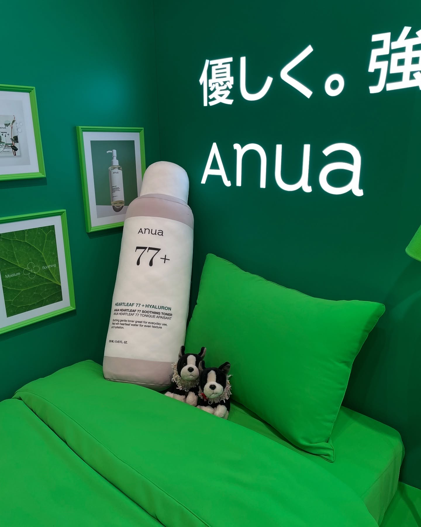 ドクダミ 70 インテンスカーミングクリーム/Anua/フェイスクリームを使ったクチコミ（1枚目）