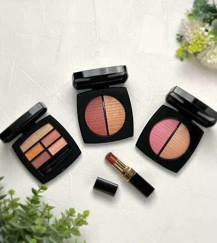 レ ベージュ パレット ルガール/CHANEL/アイシャドウパレットを使ったクチコミ(6枚目)