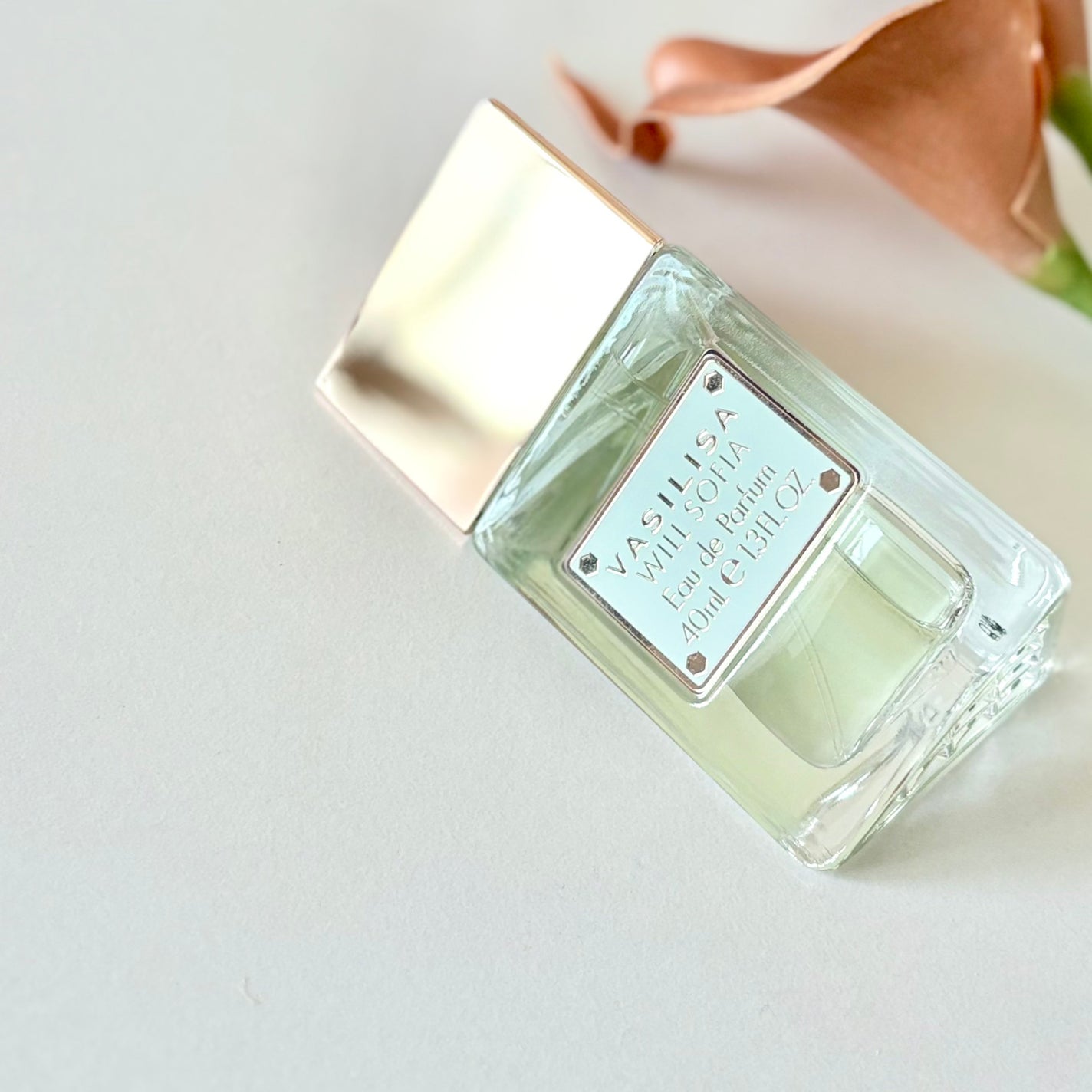 ヌード ワン オードパルファム/ヴァシリーサ/香水(レディース)を使ったクチコミ(1枚目)