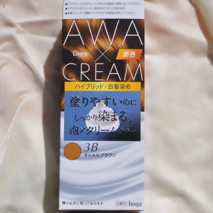 まぴねーず@フォロバ100 on LIPS 「ビゲン泡クリームカラーボトルを振るだけできめ細かい泡クリーム。..」(4枚目)