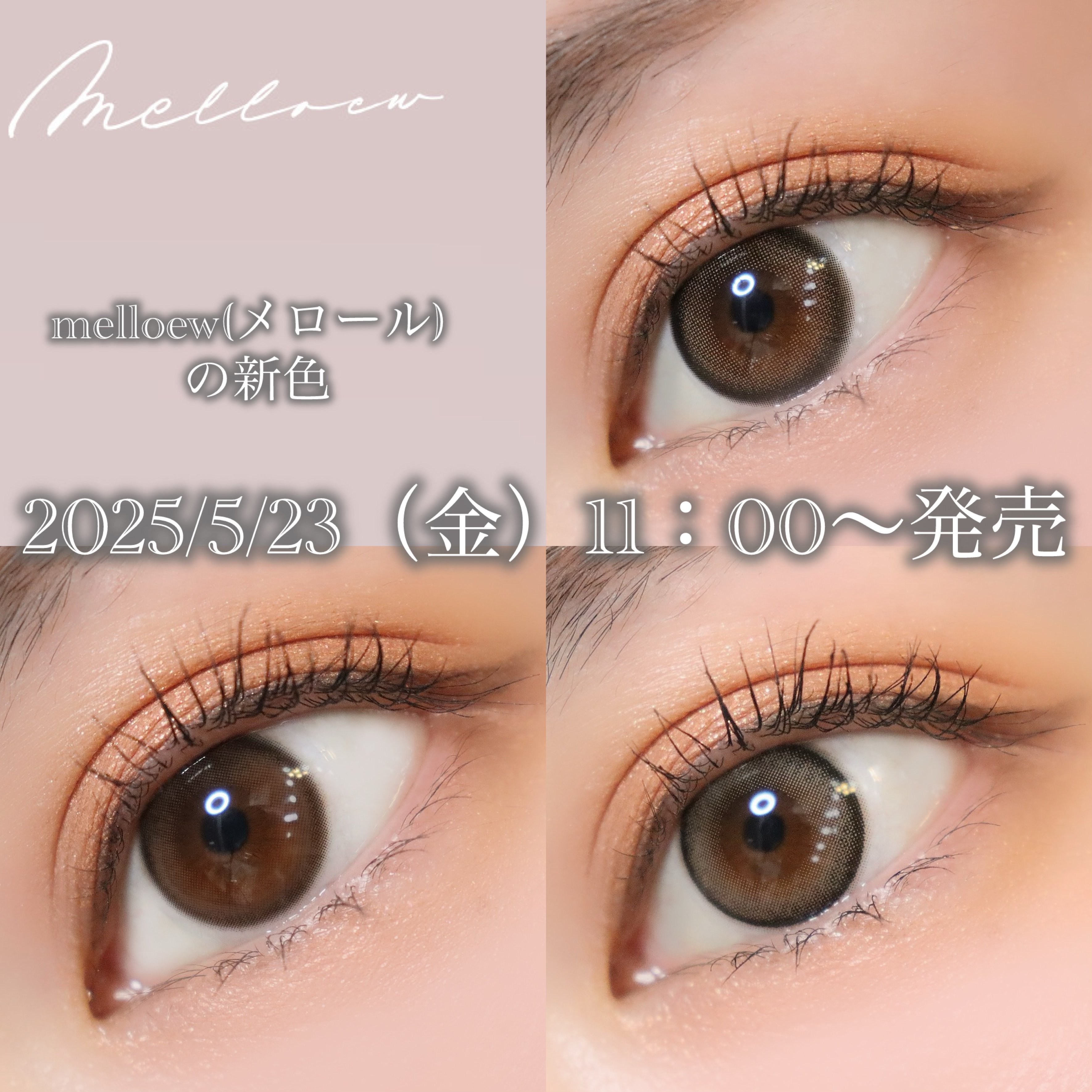 melloew 1day/melloew/ワンデー（１DAY）カラコンを使ったクチコミ（1枚目）