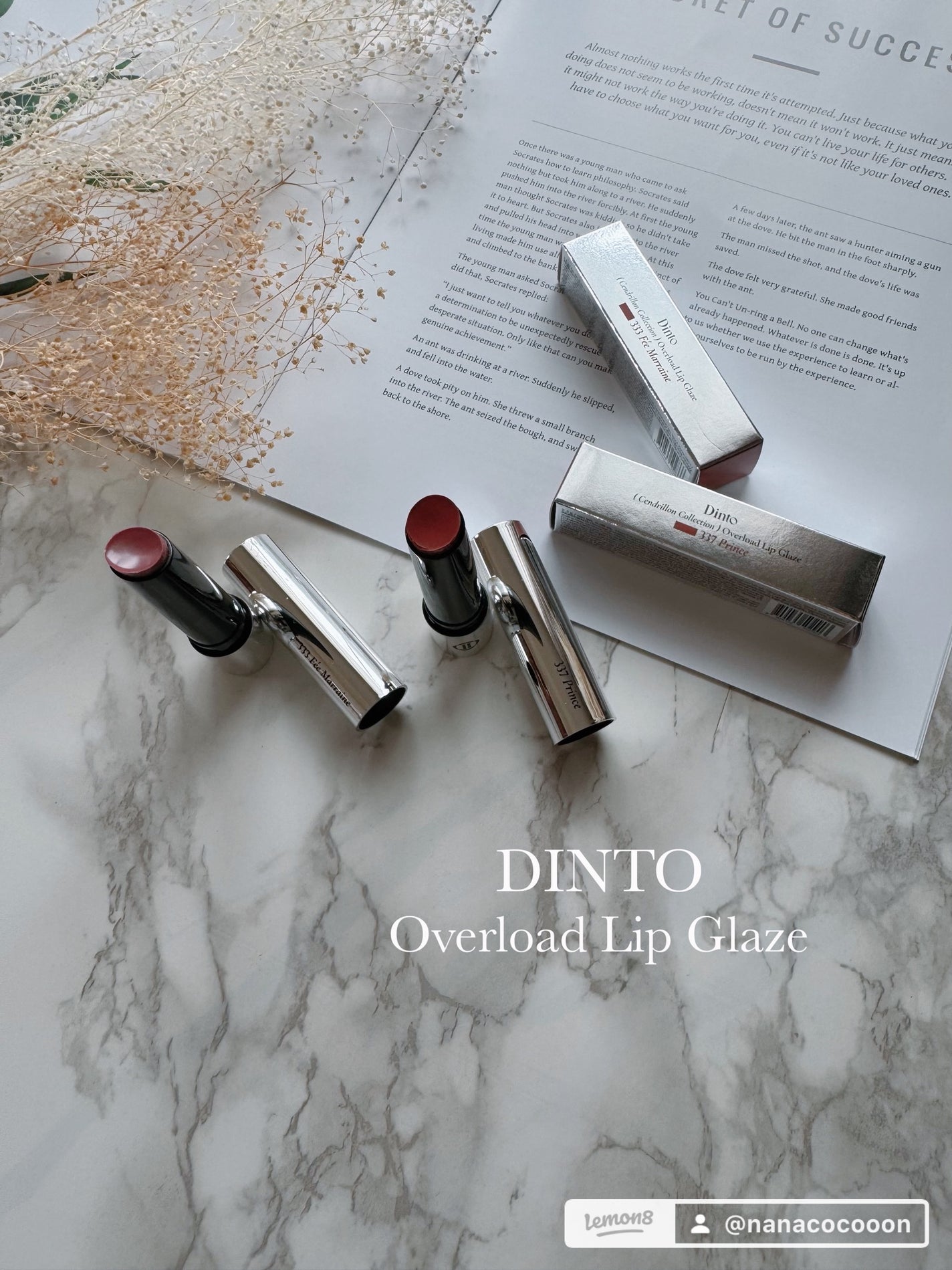 オーバーロードリップグレイズ/Dinto/口紅を使ったクチコミ(1枚目)