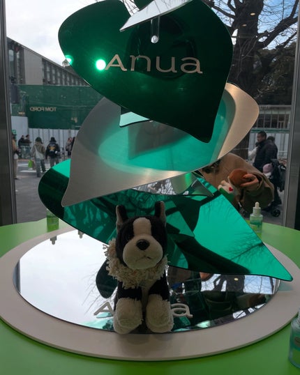 ドクダミ 77 スージングトナー/Anua/化粧水を使ったクチコミ(9枚目)