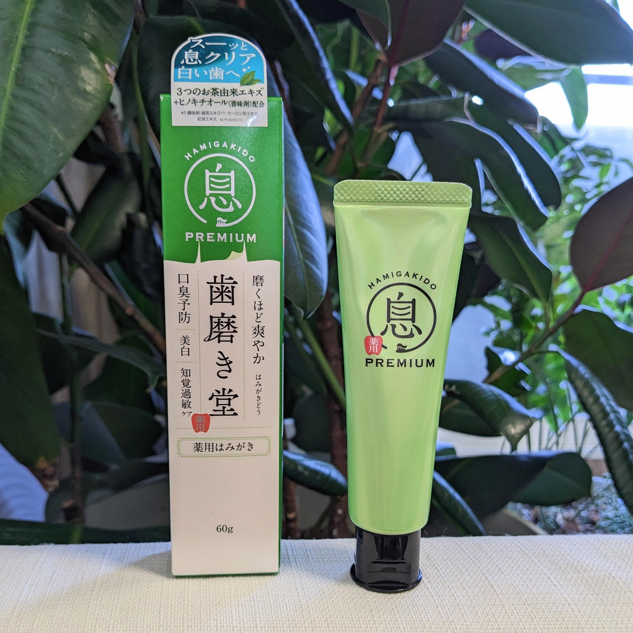 薬用フレッシュペースト【医薬部外品】/歯磨き堂/歯磨き粉を使ったクチコミ（2枚目）