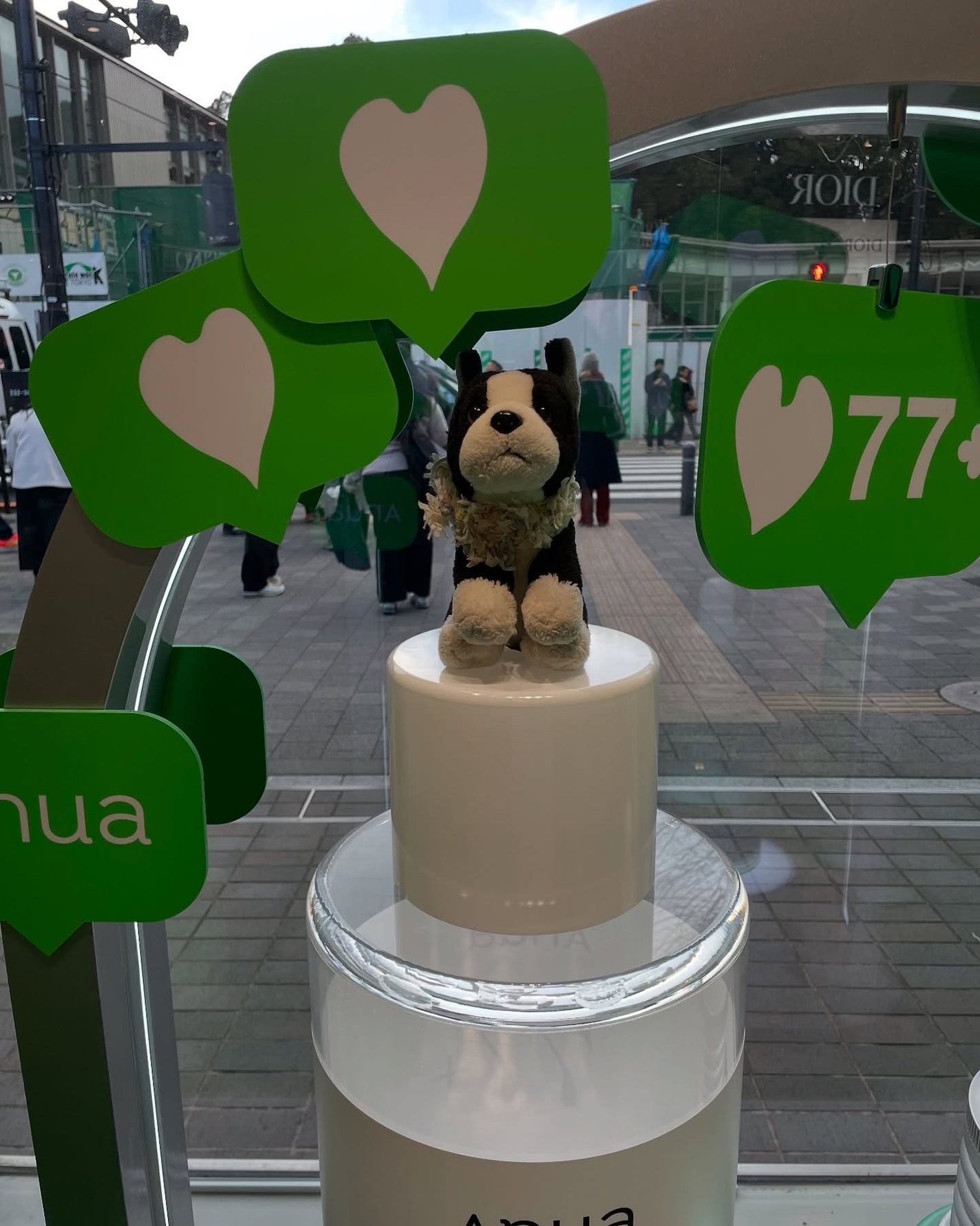 ドクダミ 77 スージングトナー/Anua/化粧水を使ったクチコミ(5枚目)