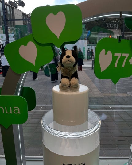 ドクダミ 77 スージングトナー/Anua/化粧水を使ったクチコミ(5枚目)